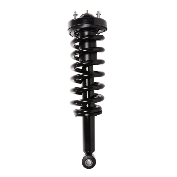 Strut Assembly