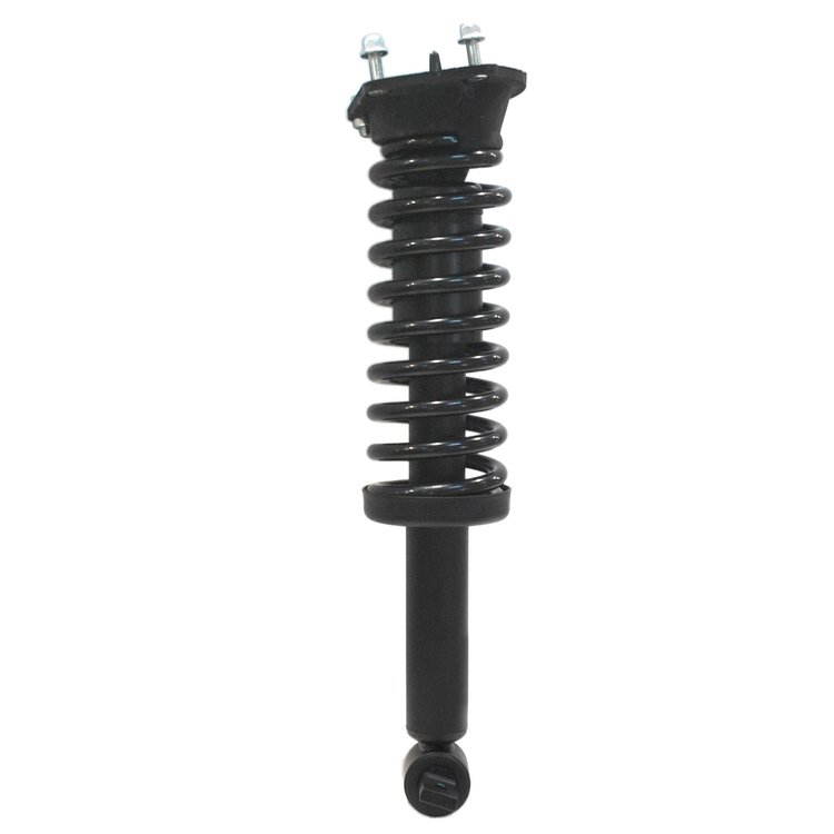 Strut Assembly