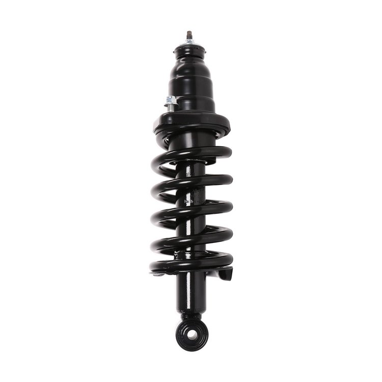 Strut Assembly