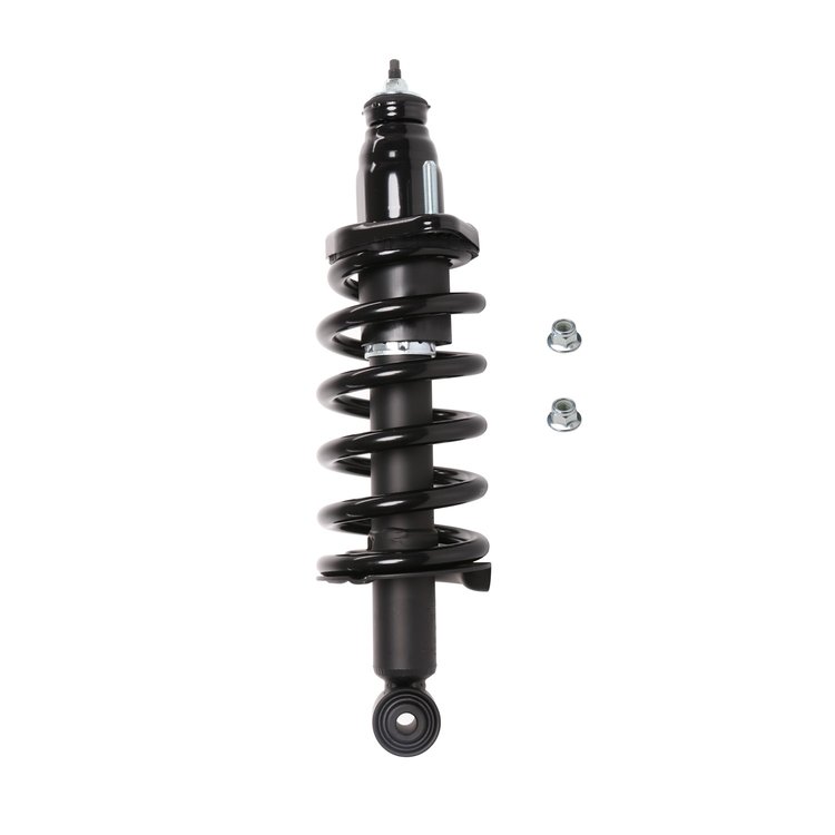 Strut Assembly