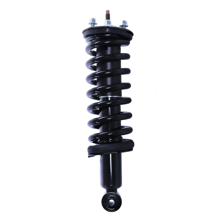 Strut Assembly