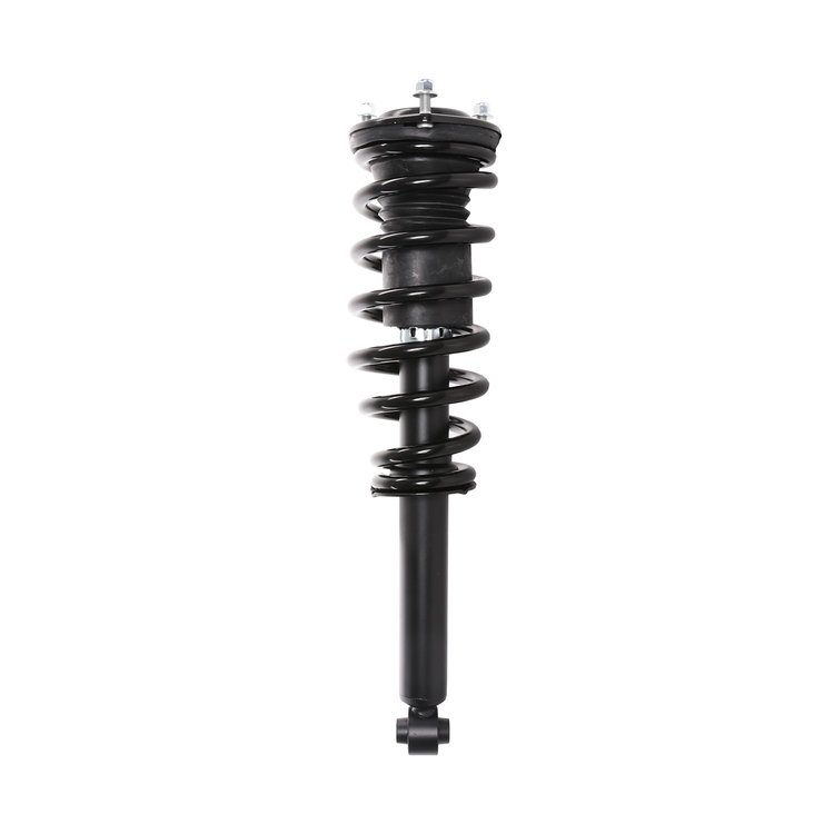 Strut Assembly