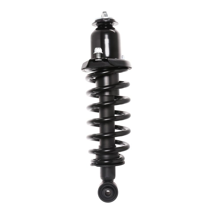 Strut Assembly