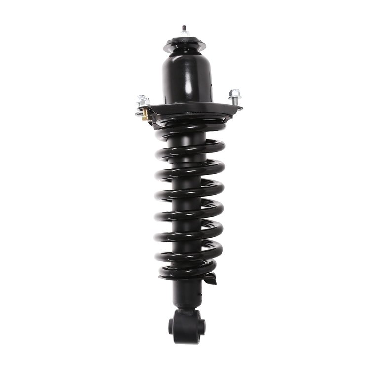 Strut Assembly