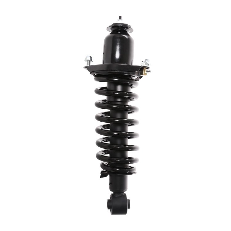 Strut Assembly