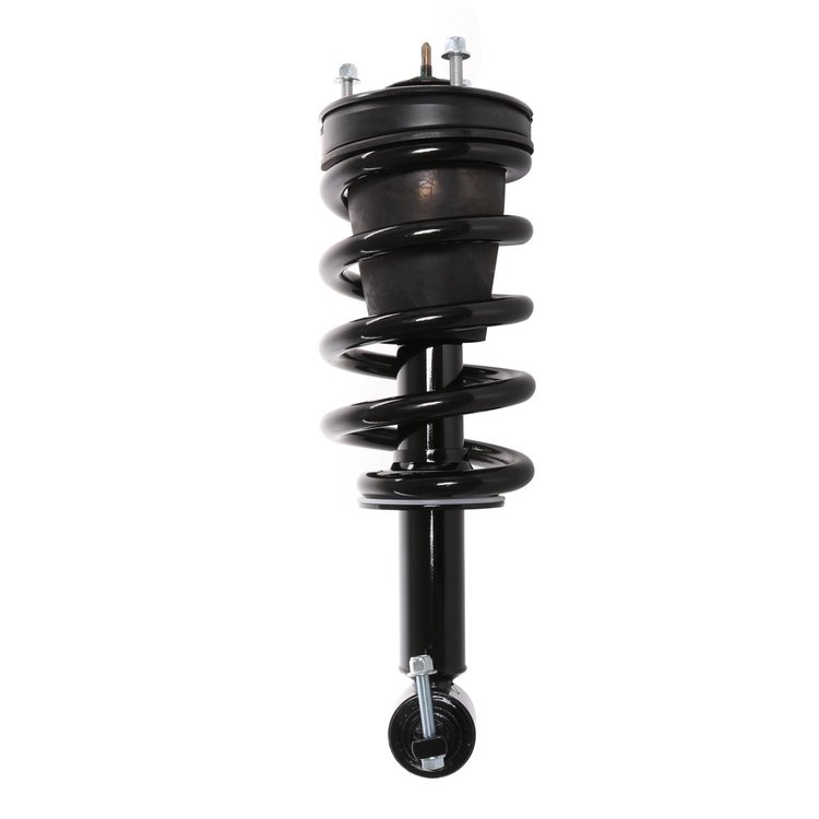 Strut Assembly