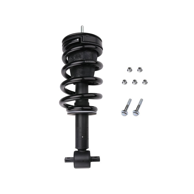 Strut Assembly