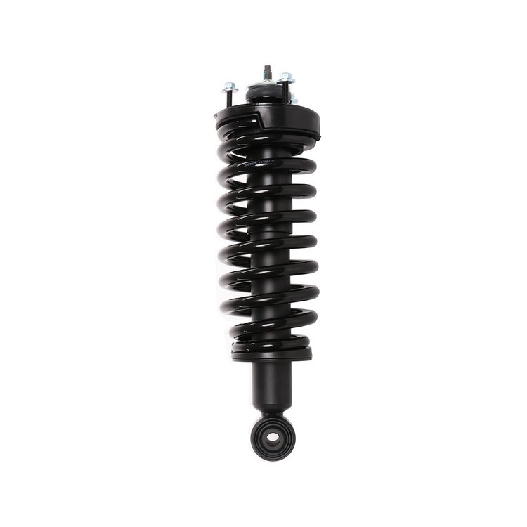 Strut Assembly