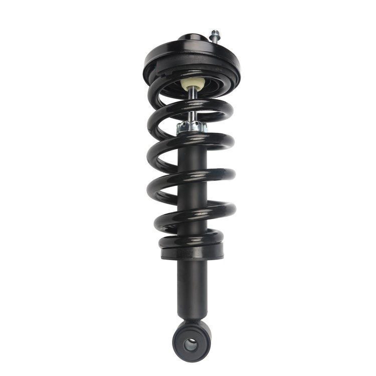 Strut Assembly