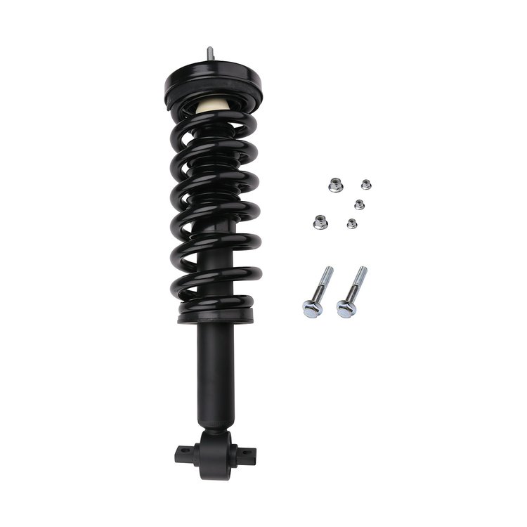 Strut Assembly