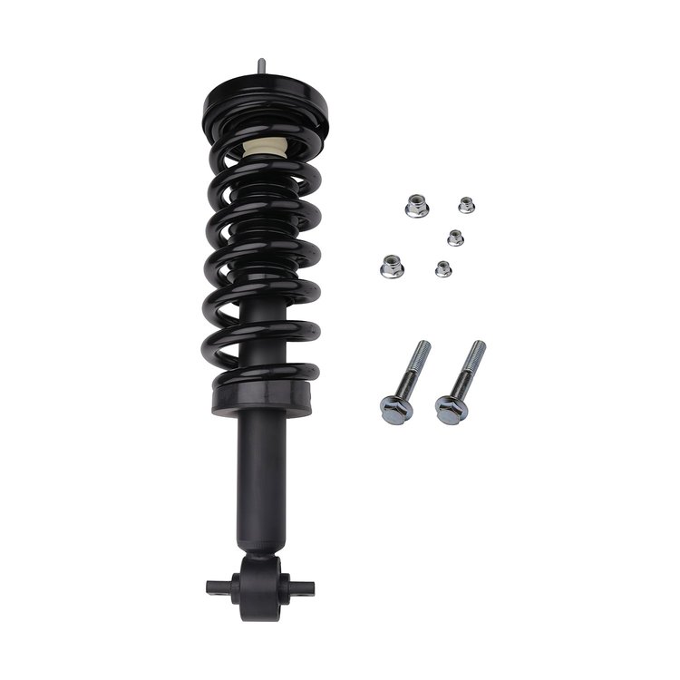 Strut Assembly