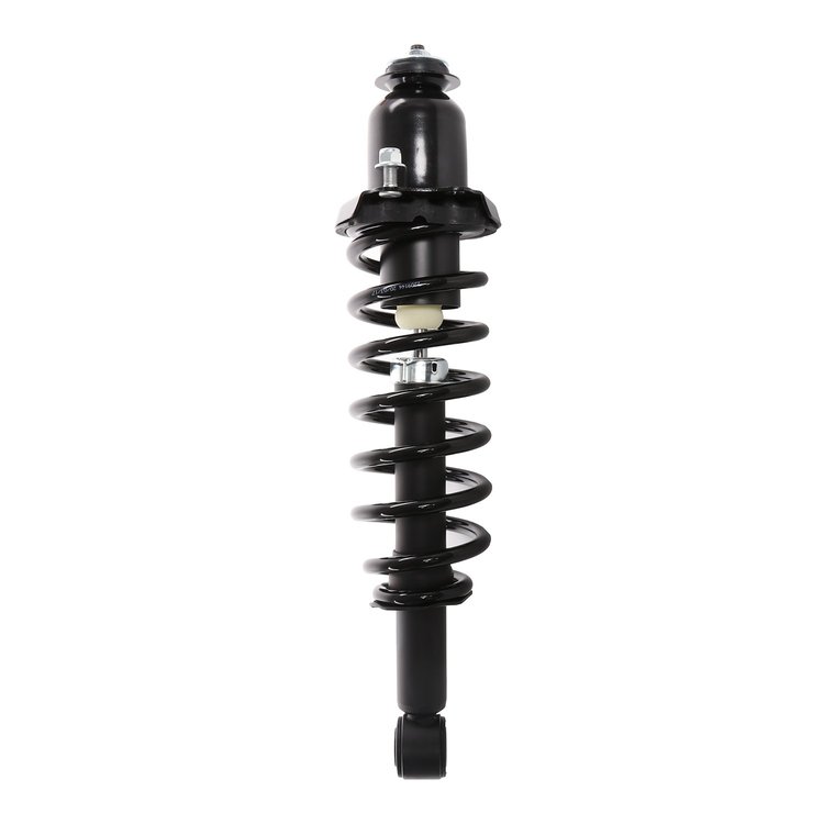 Strut Assembly