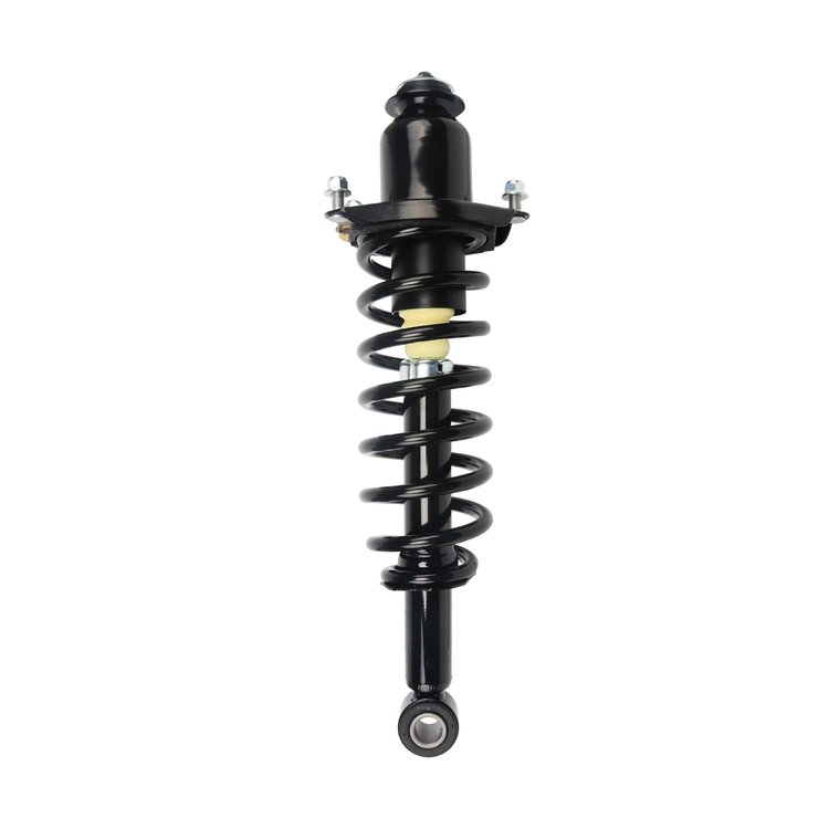 Strut Assembly