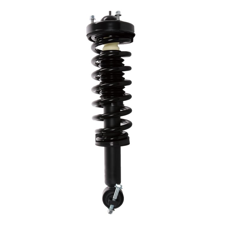 Strut Assembly