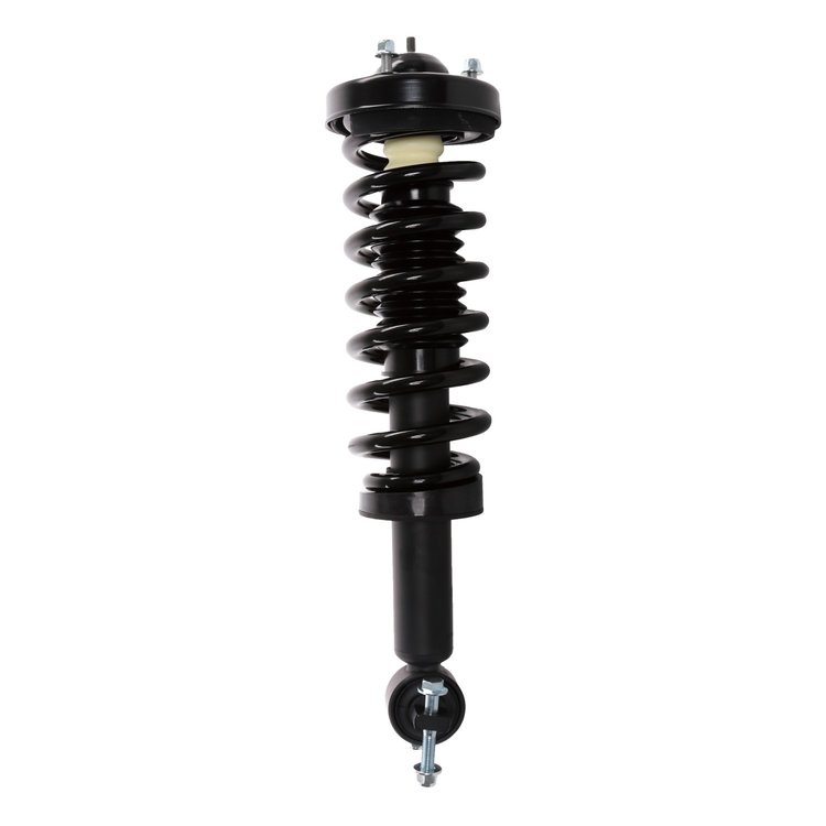Strut Assembly
