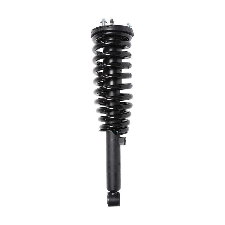 Strut Assembly