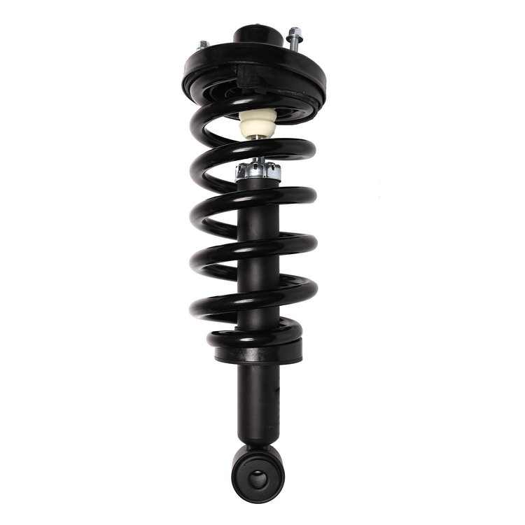 Strut Assembly