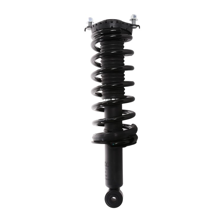 Strut Assembly