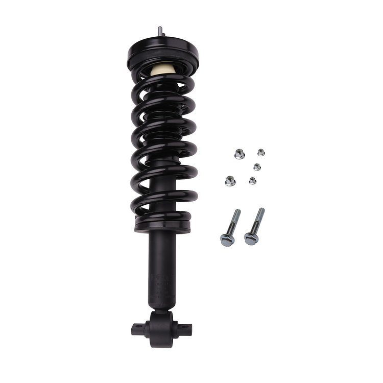Strut Assembly