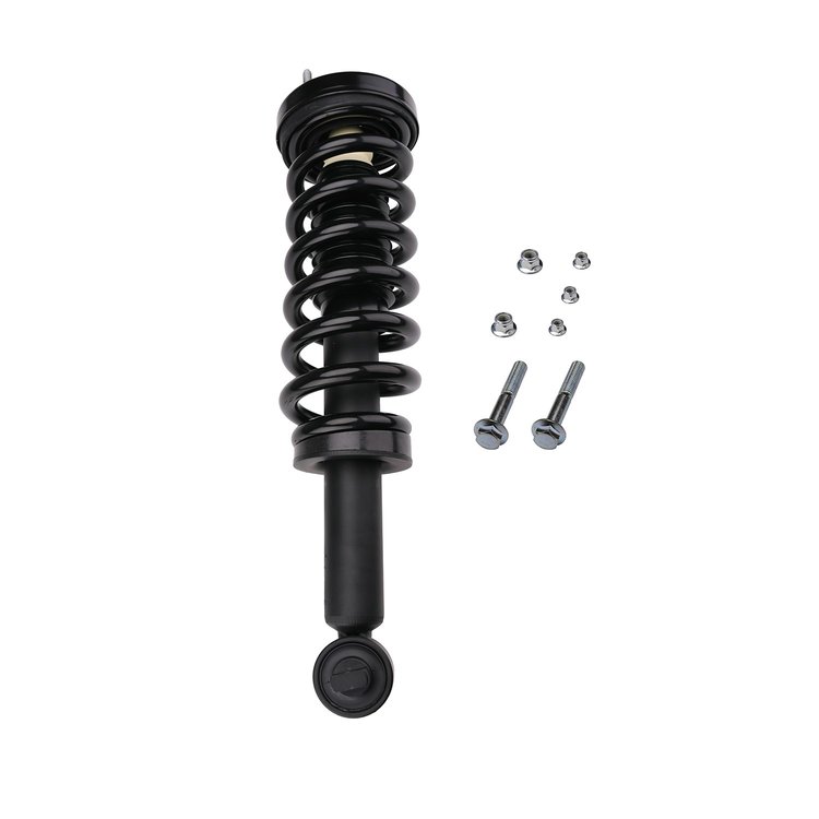 Strut Assembly
