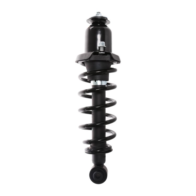Strut Assembly