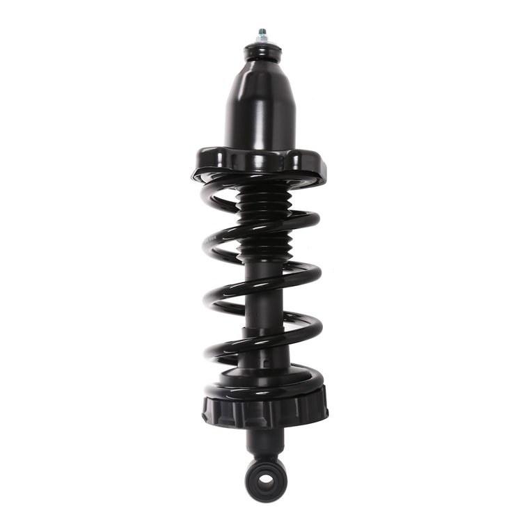 Strut Assembly
