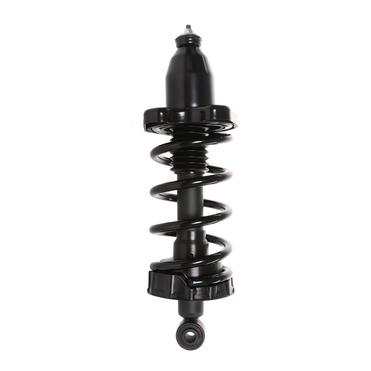 Strut Assembly