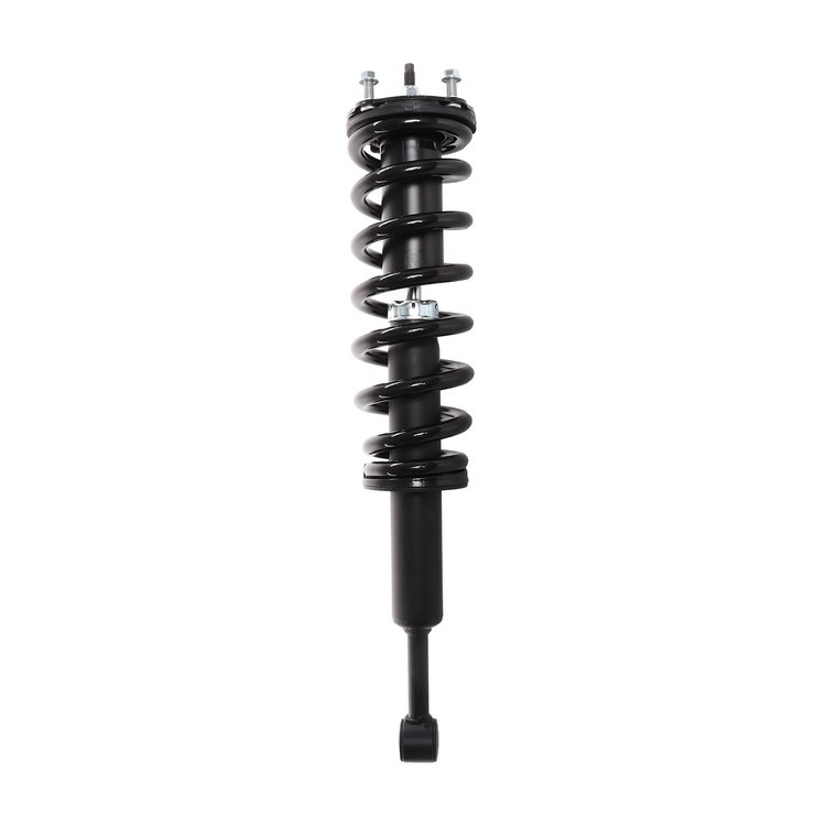 Strut Assembly