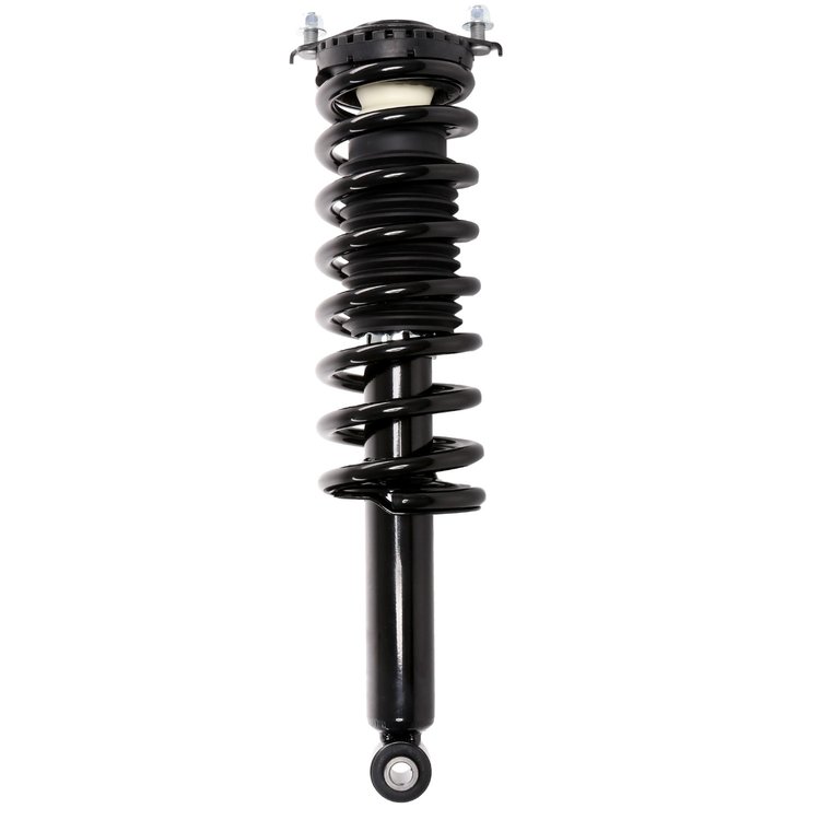 Strut Assembly