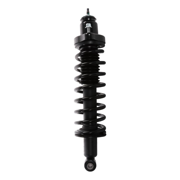 Strut Assembly