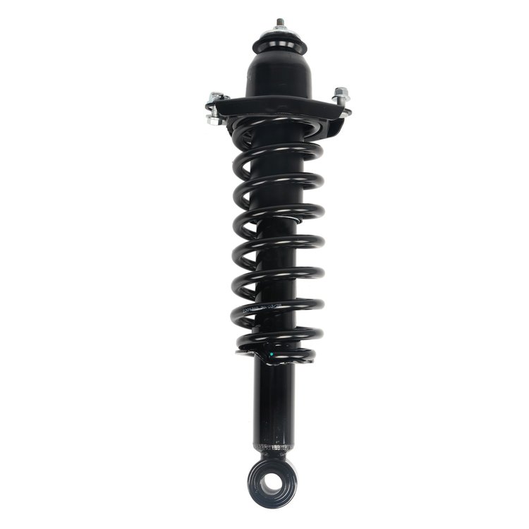 Strut Assembly