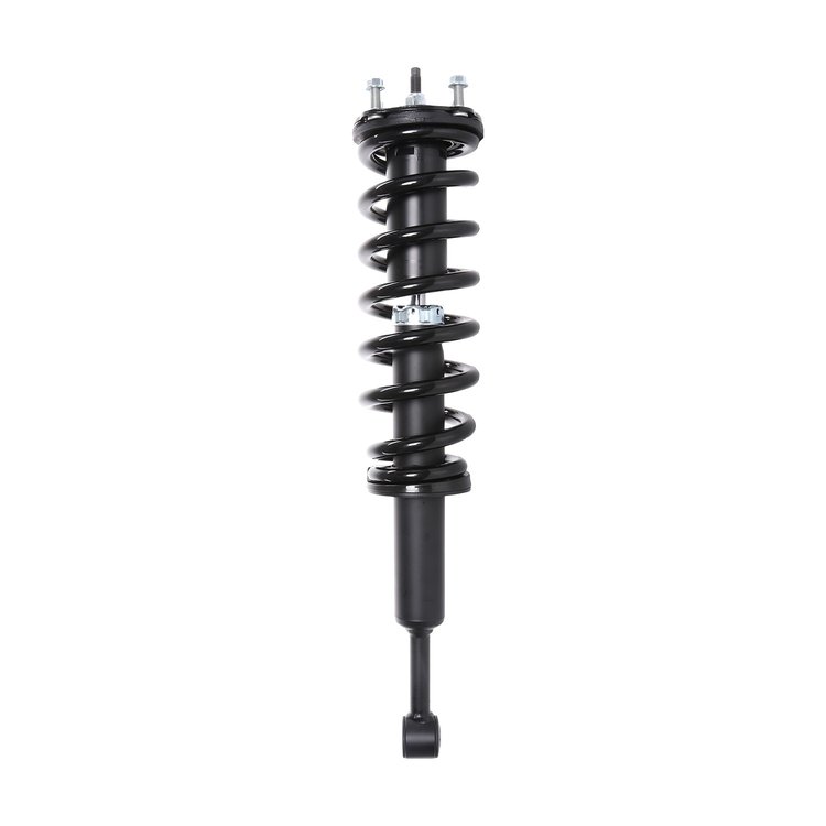 Strut Assembly
