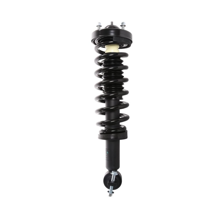 Strut Assembly