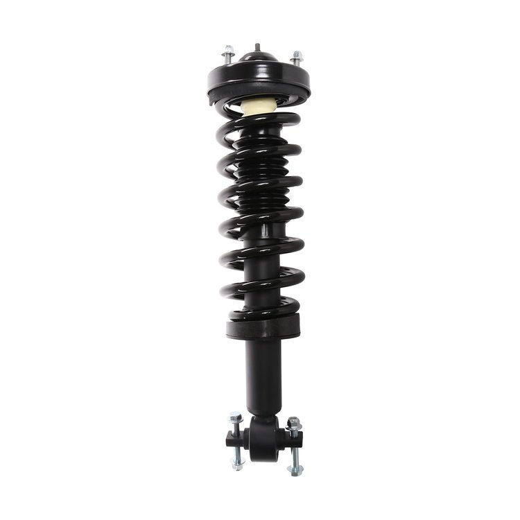 Strut Assembly