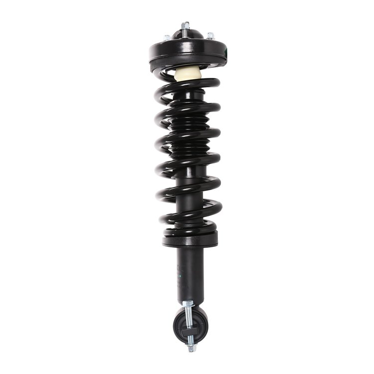 Strut Assembly