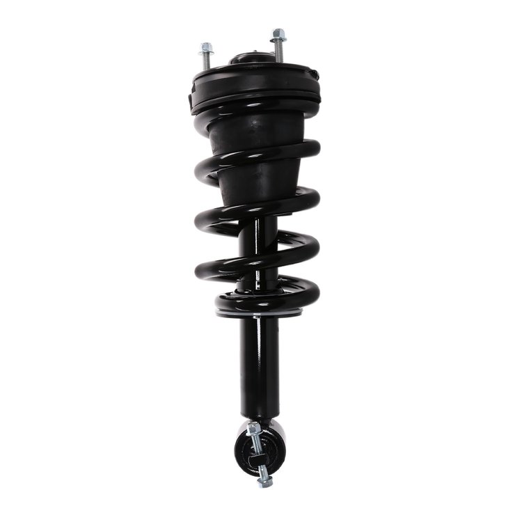 Strut Assembly