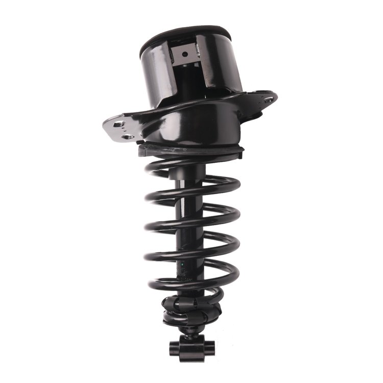 Strut Assembly