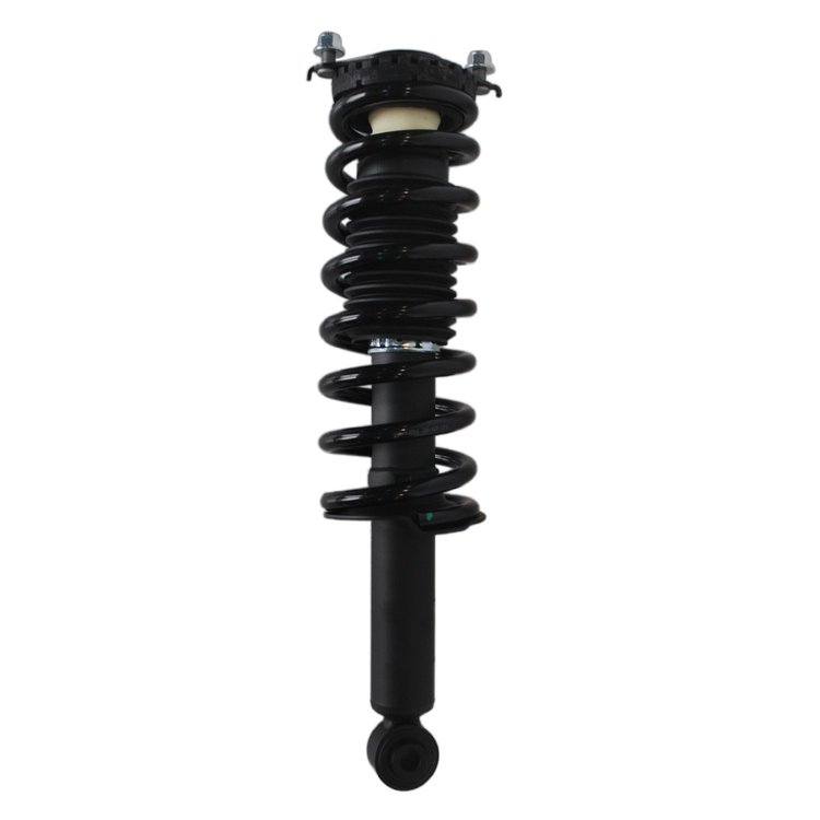 Strut Assembly