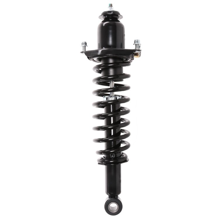 Strut Assembly