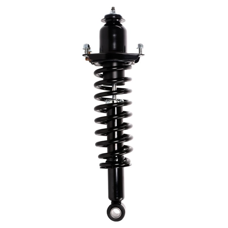 Strut Assembly