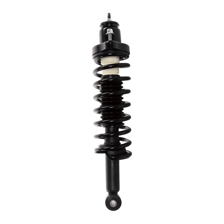 Strut Assembly