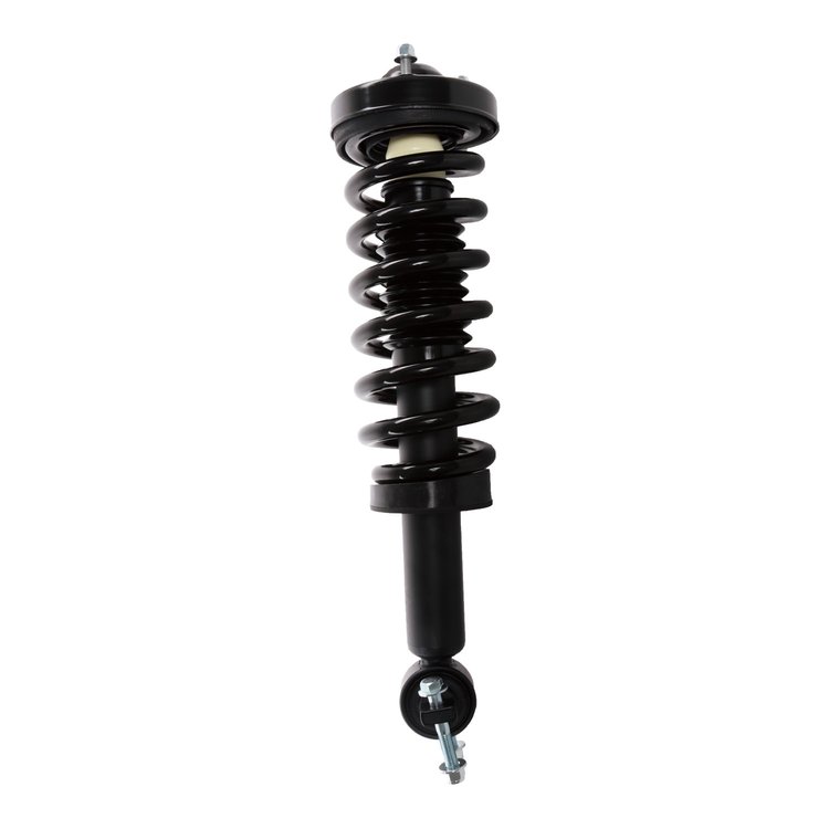 Strut Assembly