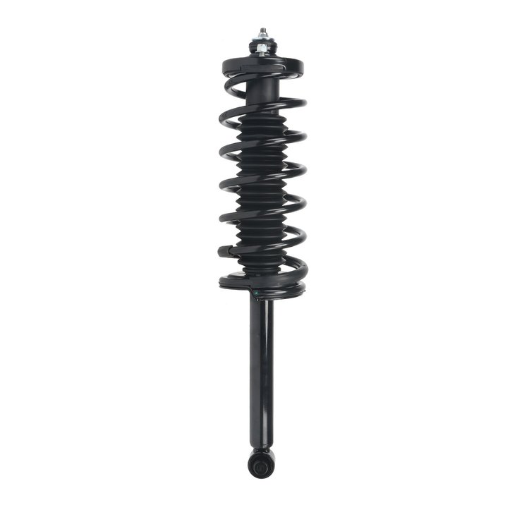Strut Assembly