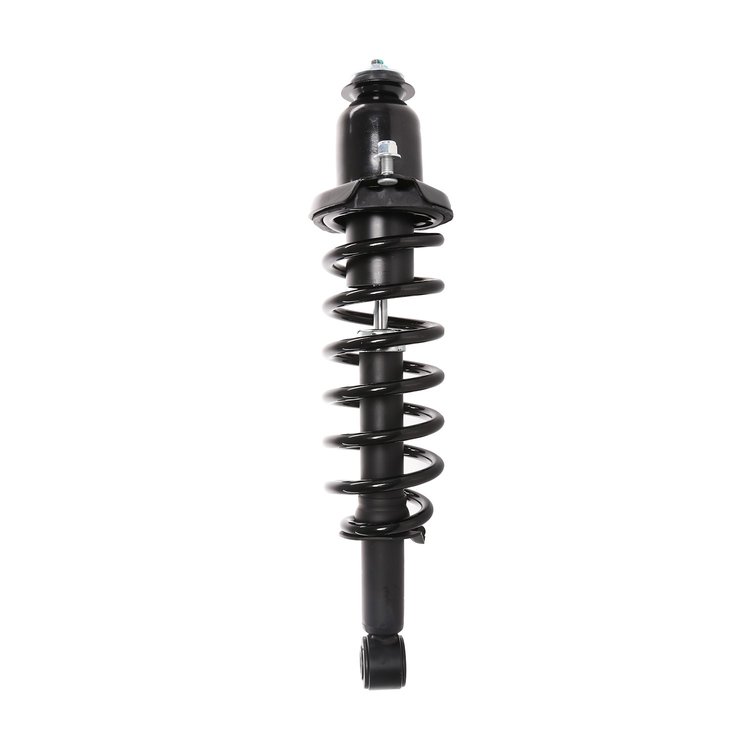 Strut Assembly
