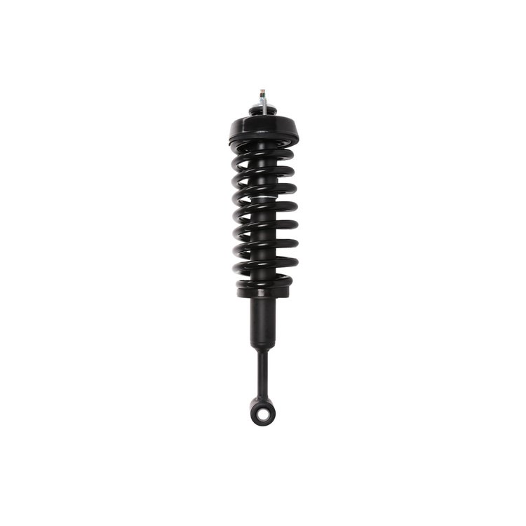 Strut Assembly