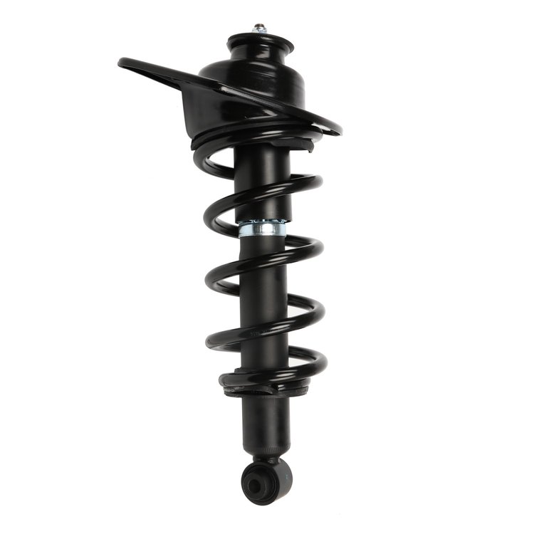 Strut Assembly