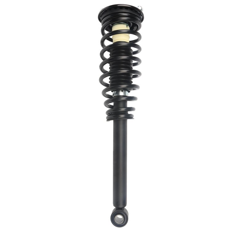 Strut Assembly