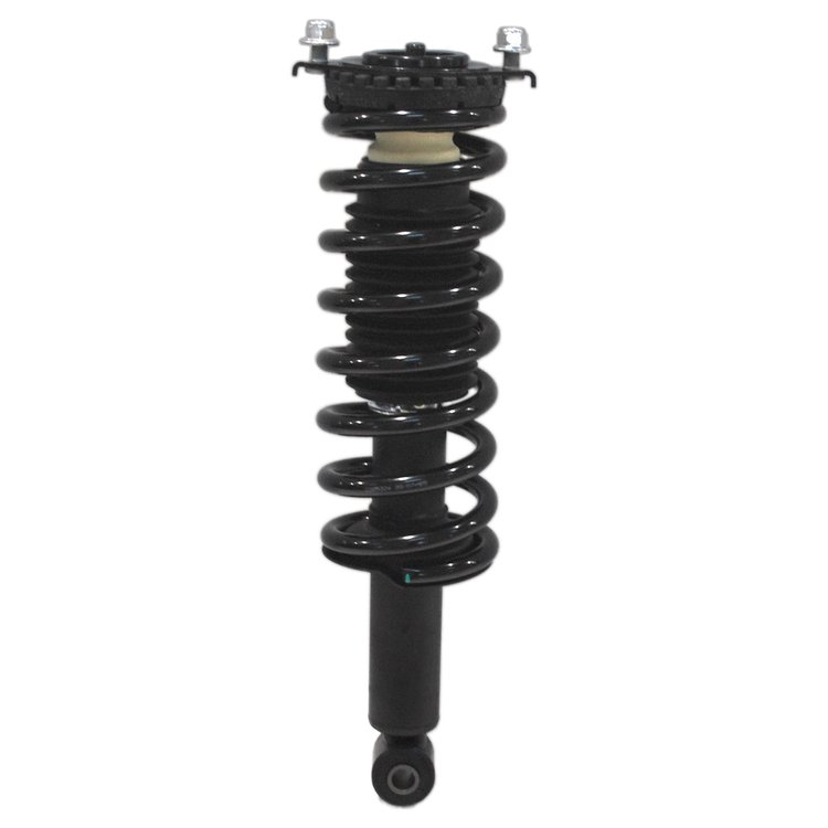 Strut Assembly