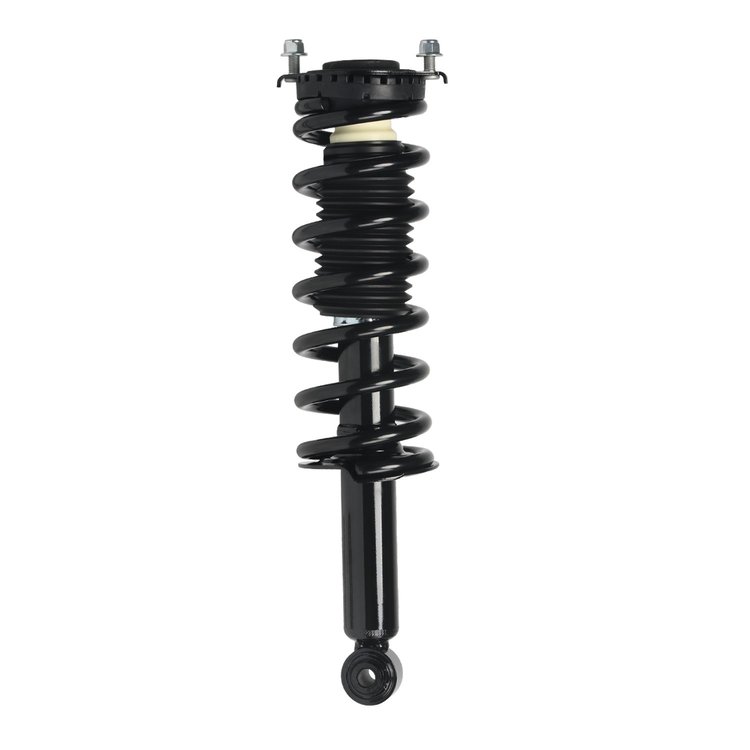 Strut Assembly