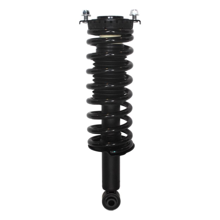 Strut Assembly